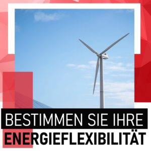 Energieflexibitlität